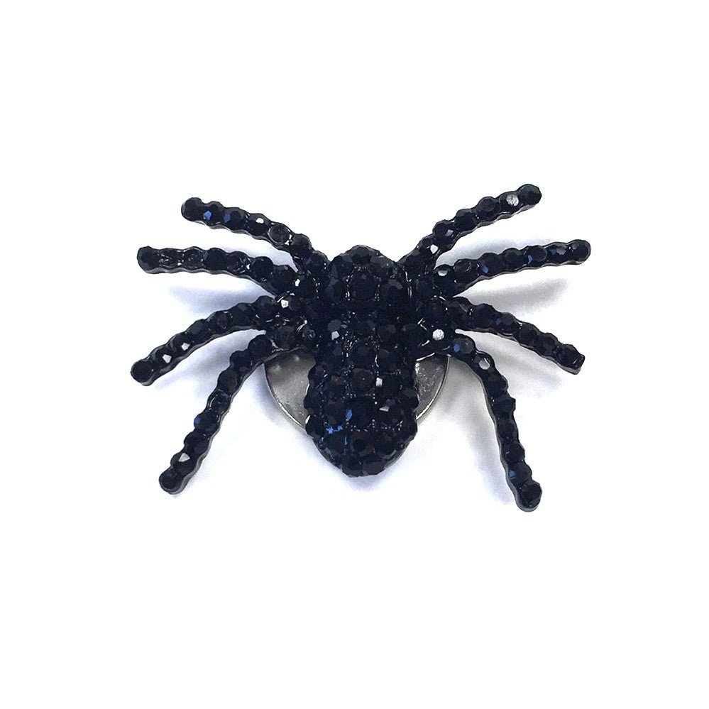 Magnetic Spider Charm